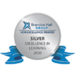 Silver Excellence in Learning